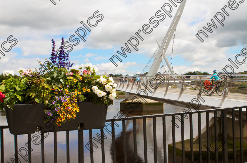 PEACE-BRIDGE-DERRY-2015-14 
 (Photo - Tom Heaney, nwpresspics)